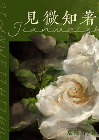 见微知著（弟妹H）