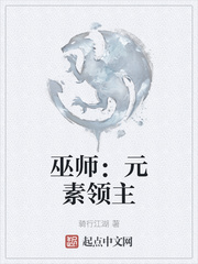 巫师：元素领主