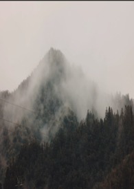 【陈牧驰乙女】明月入怀