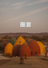 圈套（Np强制）