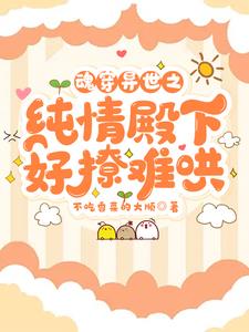 魂穿异世之纯情殿下好撩难哄