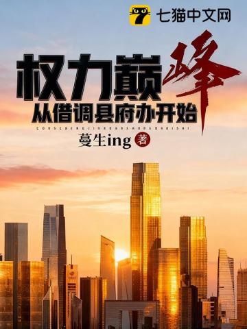 权力巅峰，从借调县府办开始