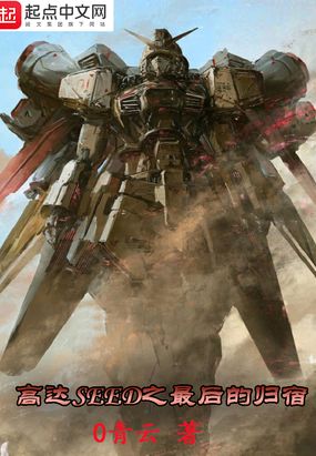 高达SEED之最后的归宿